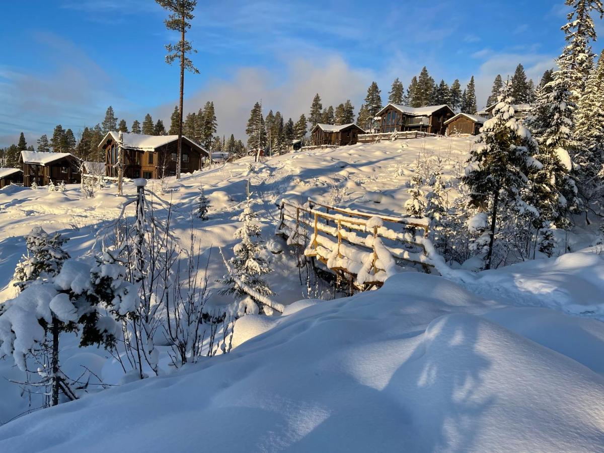 Mountain Cabin ลอฟดาเลน ภายนอก รูปภาพ